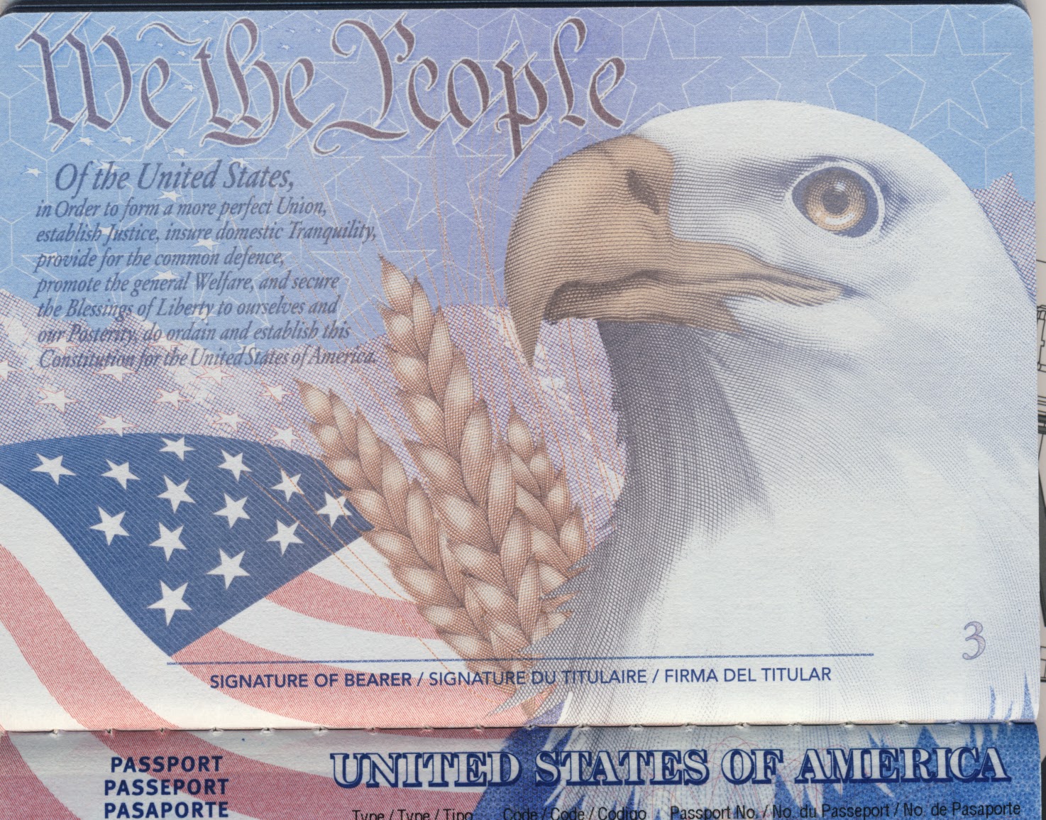 We The People Essay